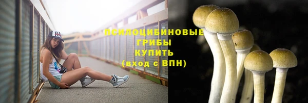 альфа пвп Богданович