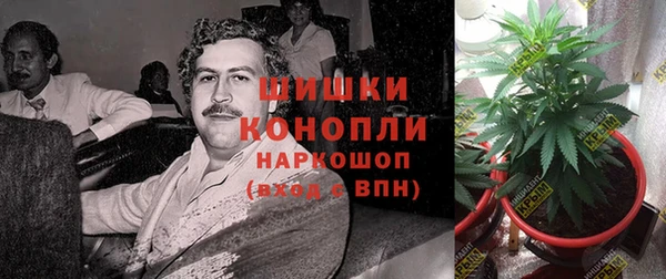 молекула духа Богородск