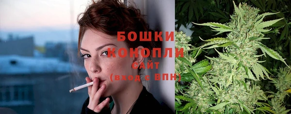 ALPHA PVP Богородицк