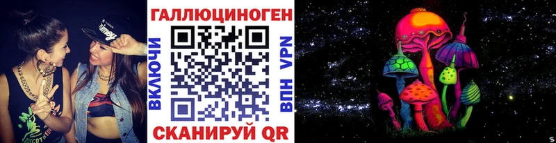 Псилоцибиновые грибы Psilocybine cubensis Дно